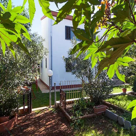 Casa de hóspedes Lara